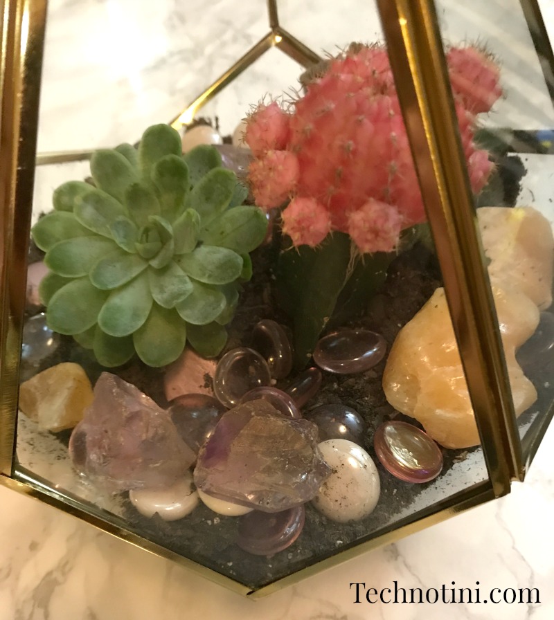 Recently, my family has gotten into gem mining-which means we have a lot of beautiful gem stones lying around the house. So I decided to create an open air terrarium with succulents and the gem stones from our family gem mining adventures. How better to show them off than in a relaxing, botanical terrarium? It’s a great gem mining keepsake. Check out my tips to help make this DIY a little easier. Gem mining crafts, minerals | crystals | DIY terrarium