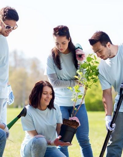 group planting trees
