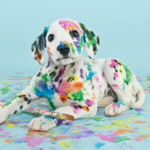 painted dog