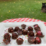 plate of chocolate covered frozen strawberries with dog in background