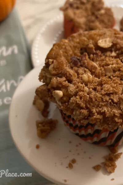 Closeup pic of lowfat chocolate chip pumpkin muffin