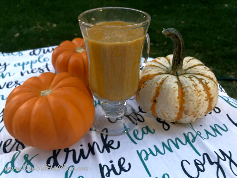 Pumpkin Pie Protein Smoothie outside on a table with some mini pumpkins